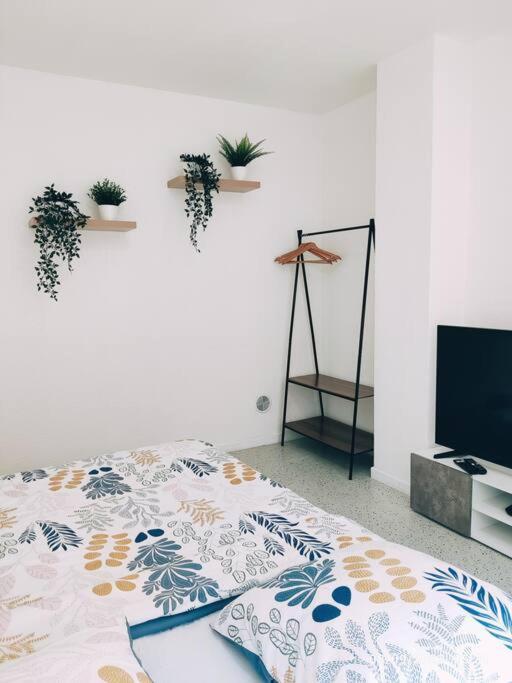 Magnifique Appartement T3 50 M2 Obernai Exteriér fotografie
